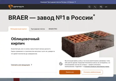 Снимок главной страницы braer.ru