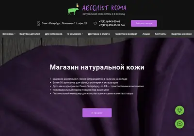 Снимок главной страницы absolut-kozha.ru