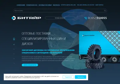 Снимок главной страницы btyre.ru