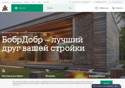 Снимок главной страницы bis-st.ru