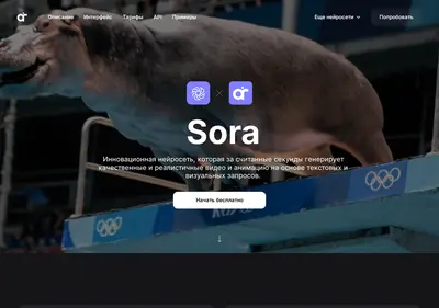 Снимок главной страницы sora.com.ru