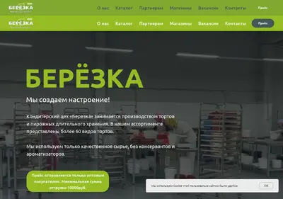 Снимок главной страницы berezka03.ru