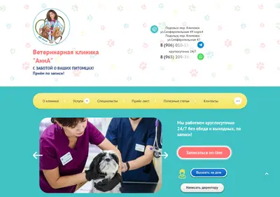 Снимок главной страницы annavet.ru
