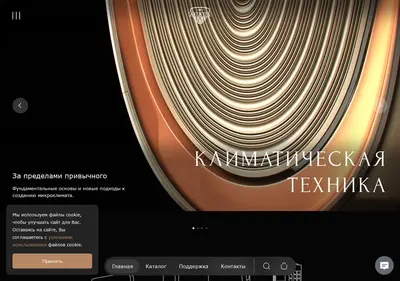 Снимок главной страницы aurusclimate.ru