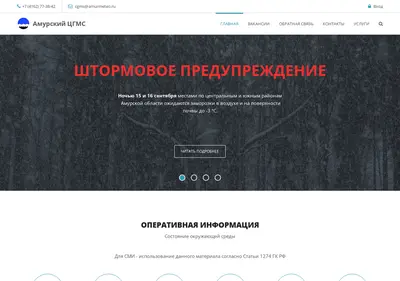 Снимок главной страницы amurmeteo.ru