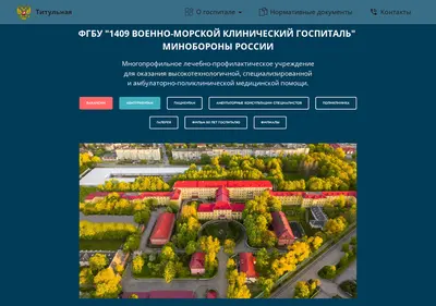 Снимок главной страницы 1409hospital.ru