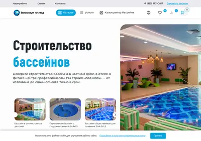 Снимок главной страницы basseynstroy.ru