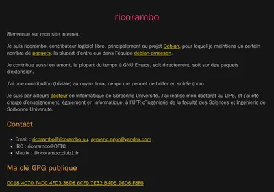 Снимок главной страницы ricorambo.su