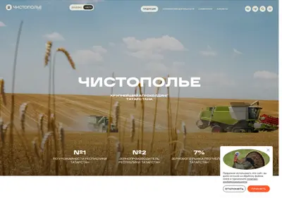 Снимок главной страницы chistai.ru