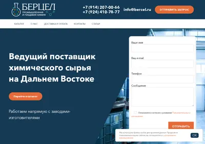 Снимок главной страницы bercel.ru