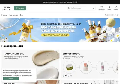 Снимок главной страницы 19lab.ru