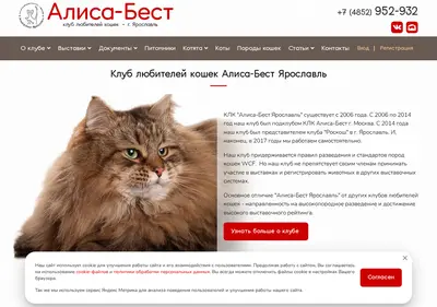 Снимок главной страницы alisa-yar.ru