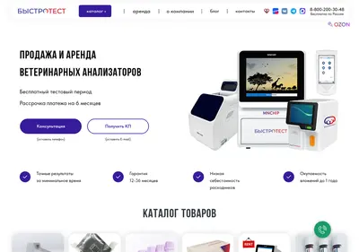 Снимок главной страницы bystrotest.ru