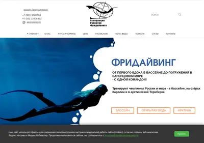 Снимок главной страницы arfspb.ru