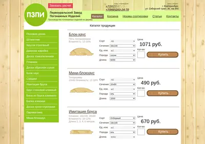 Снимок главной страницы pspi.su