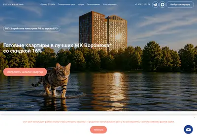 Снимок главной страницы butik-kvartir.ru