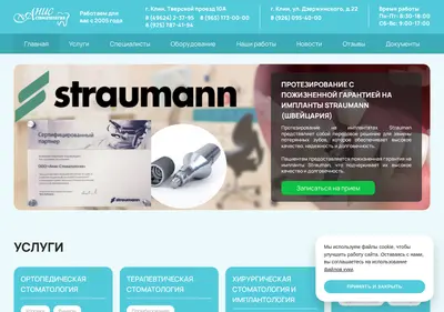 Снимок главной страницы anisstom.ru