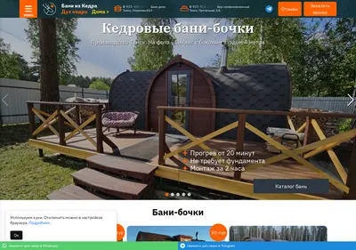 Снимок главной страницы bany-doma.ru