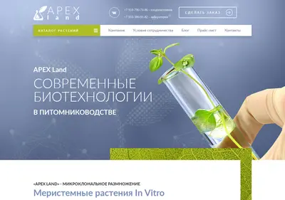 Снимок главной страницы apexland.ru