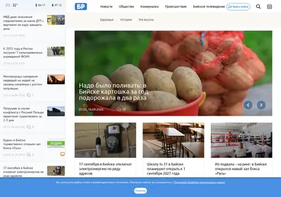 Снимок главной страницы biwork.ru