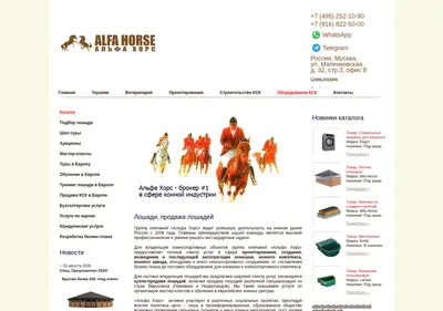 Снимок главной страницы alfa-horse.ru