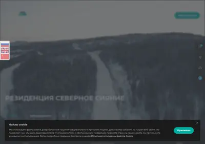 Снимок главной страницы arctichotel.ru