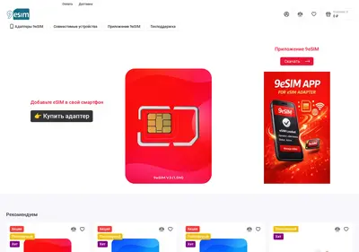 Снимок главной страницы 9esim.ru