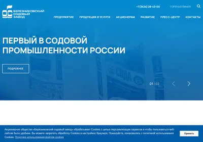 Снимок главной страницы bsz.ru