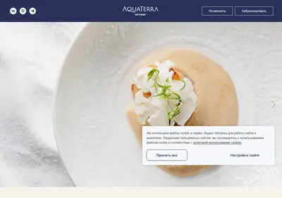 Снимок главной страницы aquaterra-vl.ru