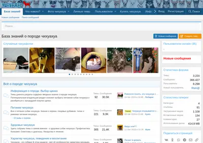 Снимок главной страницы chihuadog.ru