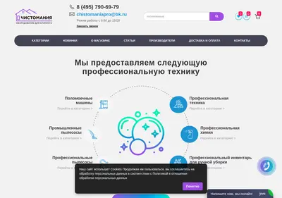 Снимок главной страницы chistomaniapro.ru