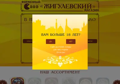 Снимок главной страницы beermag63.ru