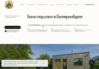 Снимок главной страницы bani-3lesoruba.ru