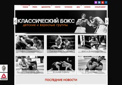 Снимок главной страницы artoffight.ru
