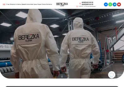 Снимок главной страницы berezka-clean.ru