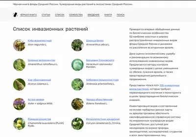 Снимок главной страницы bookblack.ru
