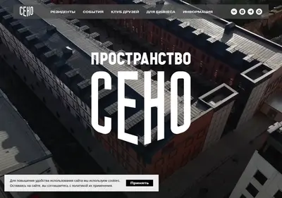 Снимок главной страницы seno.spb.ru
