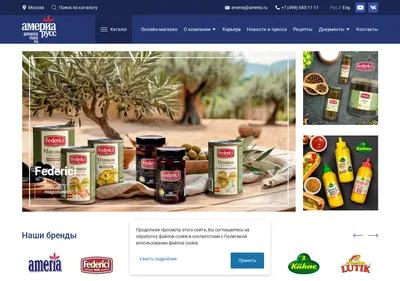 Снимок главной страницы ameria.ru