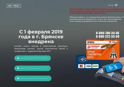 Снимок главной страницы bryansk-ric.ru