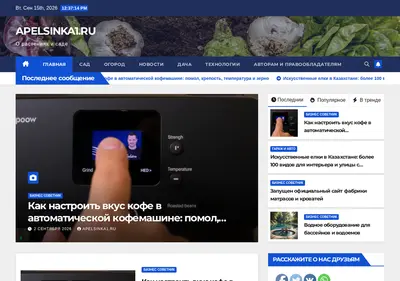 Снимок главной страницы apelsinka1.ru