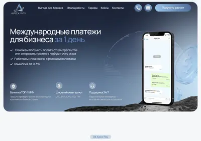 Снимок главной страницы apexpaygroup.ru