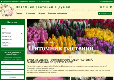 Снимок главной страницы butenkogarden.ru