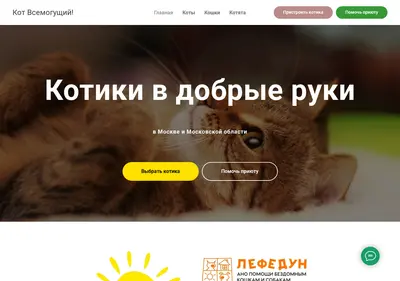 Снимок главной страницы cat-power.ru