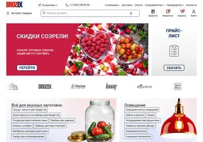 Снимок главной страницы brozex.ru