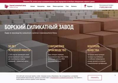 Снимок главной страницы bor-silikat.ru