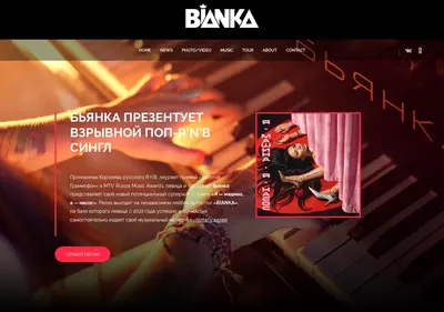 Снимок главной страницы biankanumber1.ru