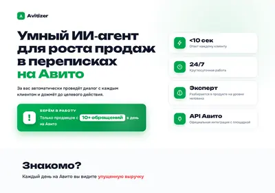 Снимок главной страницы avitizer.ru