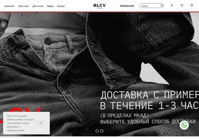 Снимок главной страницы blcv.ru