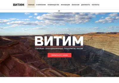 Снимок главной страницы artelvitim.ru