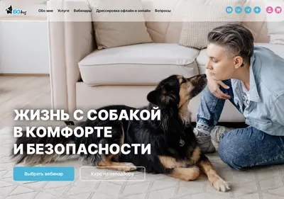 Снимок главной страницы bobig.ru